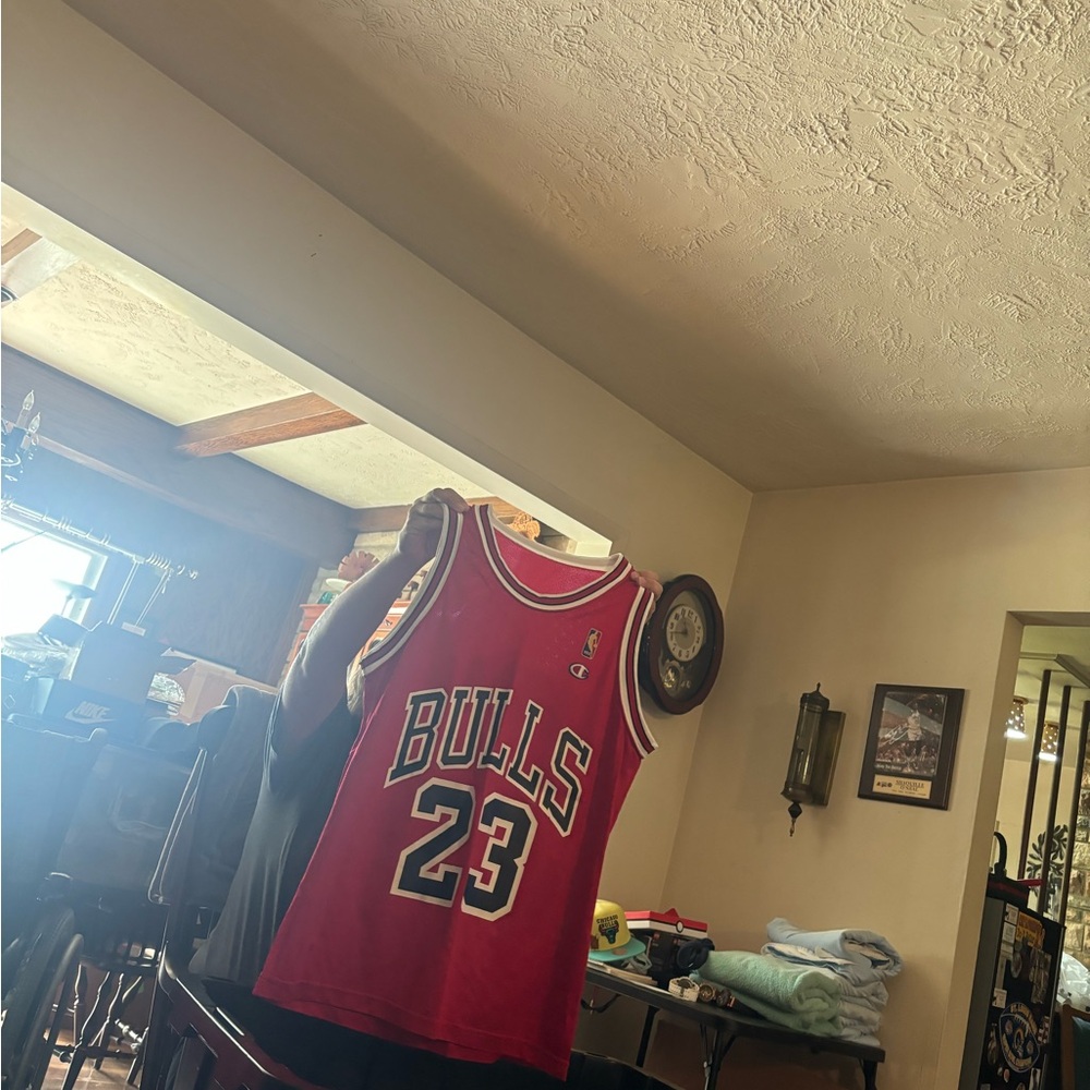 Original 1990s Michael Jordan champion jersey